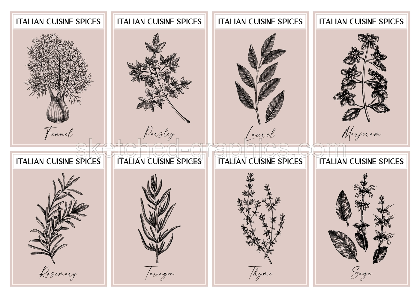Italian spice labels set. Basil, mint, rosemary, parsley, sage, bay leaf, fennel  sketches. Herbs and spices hand-drawn vectot illustration. Vintage print design. NOT AI generated Illustration